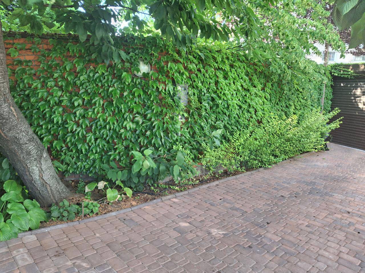  Дом на берегу моря в Одессе, 1-я линия, закрытый кооператив. 7 соток ID 3631 (Фото 17)